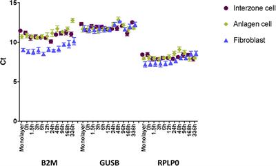 Kinetics of Gene Expression Changes in Equine Fetal Interzone and Anlagen Cells Over 14 Days of Induced Chondrogenesis